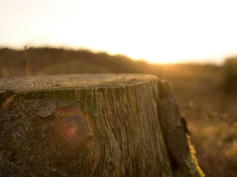 sudoku cross hatching